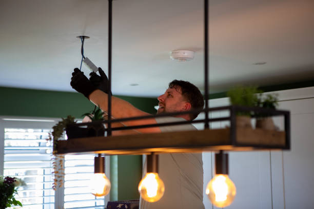 Best Electric Panel Repair  in Bel Nor, MO